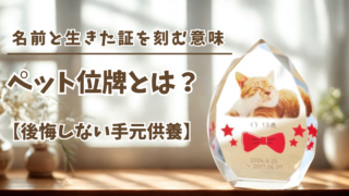 ペット位牌とは？名前と生きた証を刻む意味